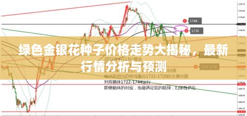 绿色金银花种子价格走势大揭秘，最新行情分析与预测