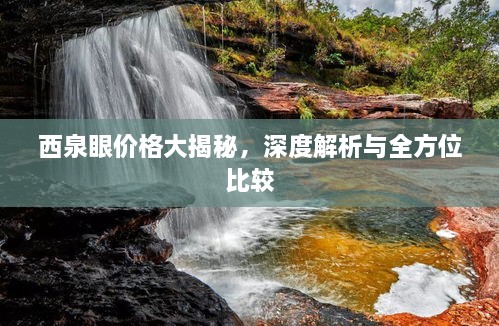 西泉眼价格大揭秘，深度解析与全方位比较