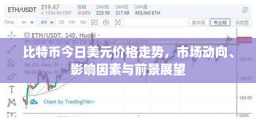 比特币今日美元价格走势，市场动向、影响因素与前景展望