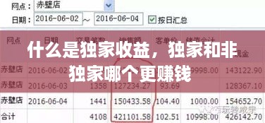什么是独家收益，独家和非独家哪个更赚钱 