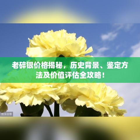笨鸟先飞 第2页