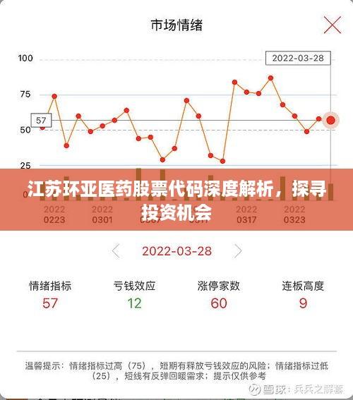江苏环亚医药股票代码深度解析，探寻投资机会