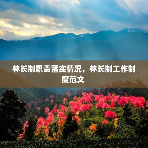 林长制职责落实情况，林长制工作制度范文 