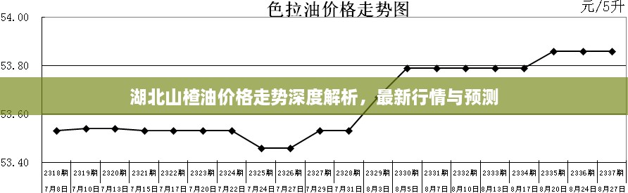 湖北山楂油价格走势深度解析，最新行情与预测