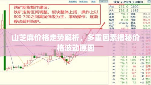 qiongniaoruhuai 第2页