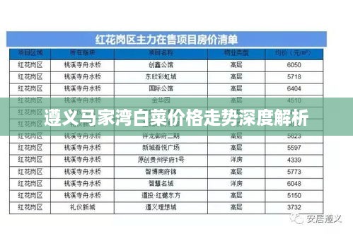 遵义马家湾白菜价格走势深度解析