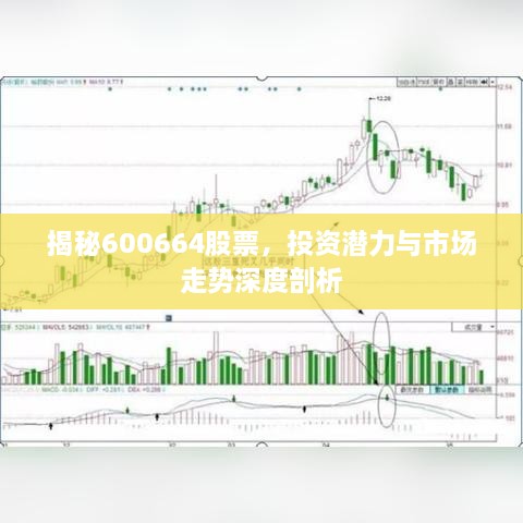 揭秘600664股票，投资潜力与市场走势深度剖析