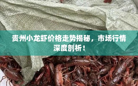 danpiaolouxiang 第2页