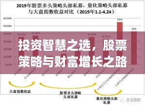 投资智慧之选，股票策略与财富增长之路