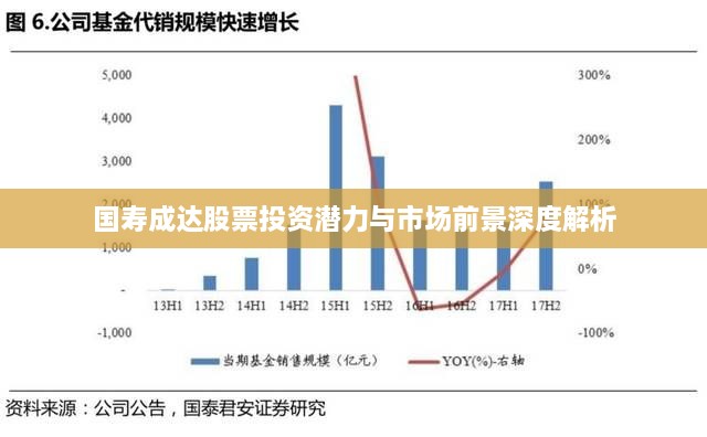 国寿成达股票投资潜力与市场前景深度解析