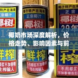 椰奶市场深度解析，价格走势、影响因素与前景展望