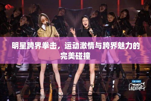 明星跨界拳击，运动激情与跨界魅力的完美碰撞