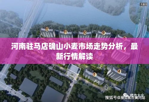 风流倜傥 第2页