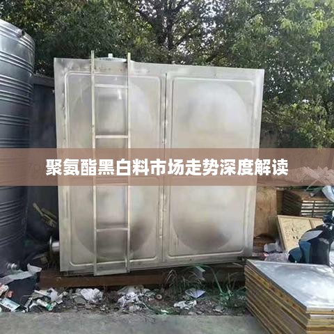 初告白 第2页