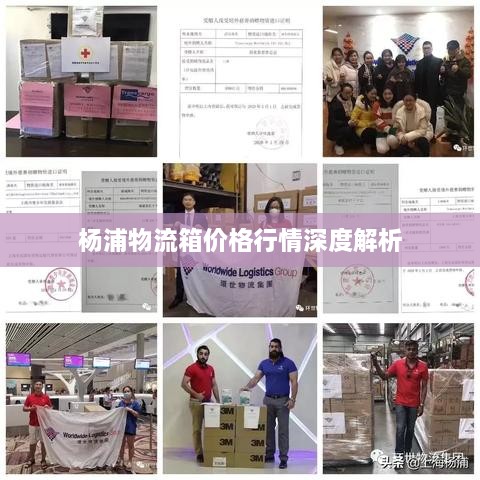 杨浦物流箱价格行情深度解析