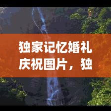 独家记忆婚礼庆祝图片，独家记忆图片唯美 