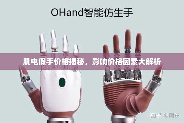 肌电假手价格揭秘，影响价格因素大解析
