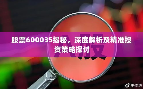 股票600035揭秘，深度解析及精准投资策略探讨