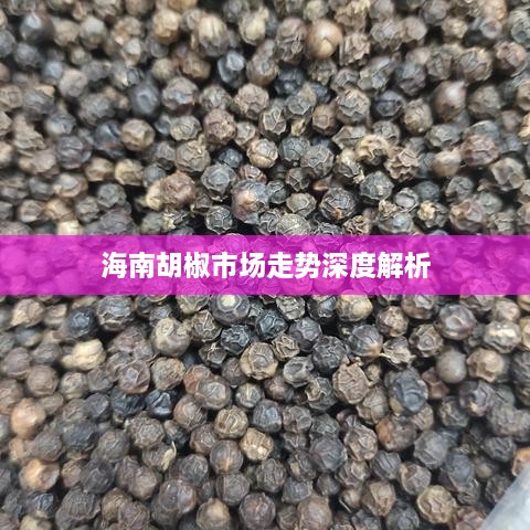 海南胡椒市场走势深度解析