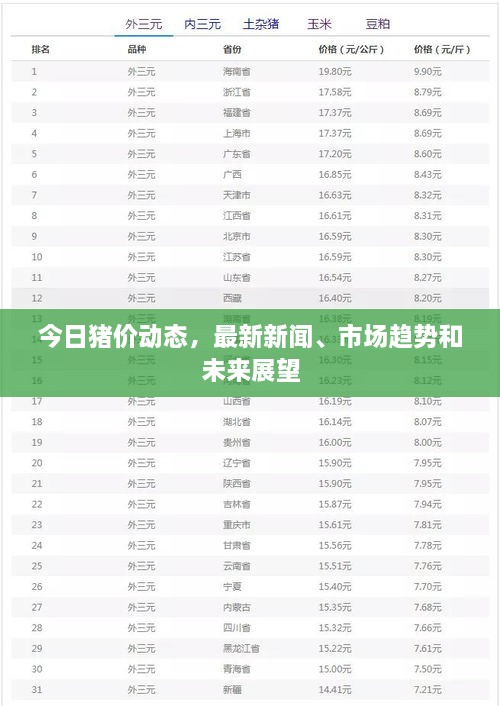 今日猪价动态，最新新闻、市场趋势和未来展望