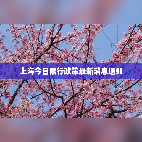 shoubushijuan 第2页