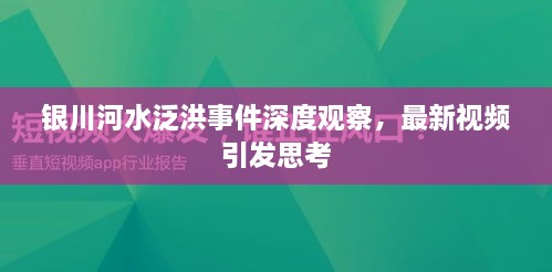 银川河水泛洪事件深度观察，最新视频引发思考