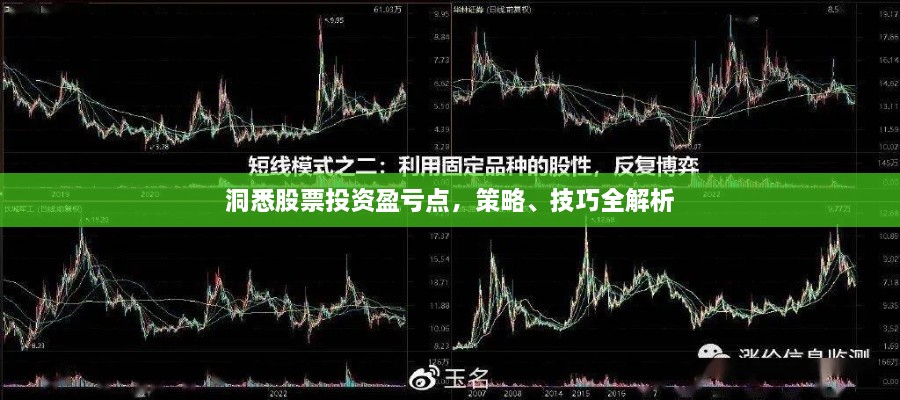 洞悉股票投资盈亏点，策略、技巧全解析