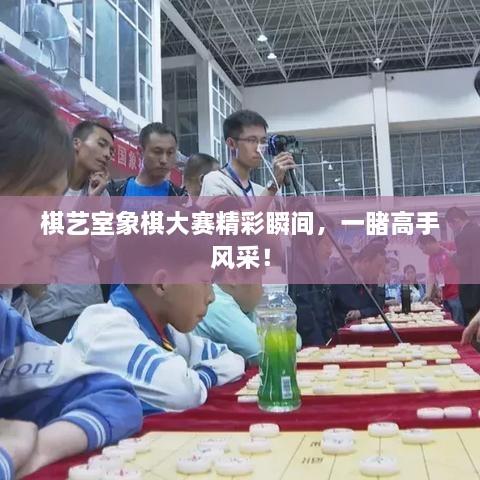 棋艺室象棋大赛精彩瞬间，一睹高手风采！
