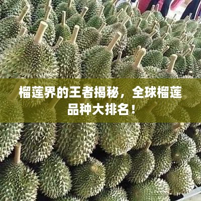 榴莲界的王者揭秘，全球榴莲品种大排名！