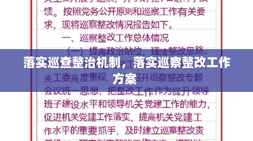 落实巡查整治机制，落实巡察整改工作方案 