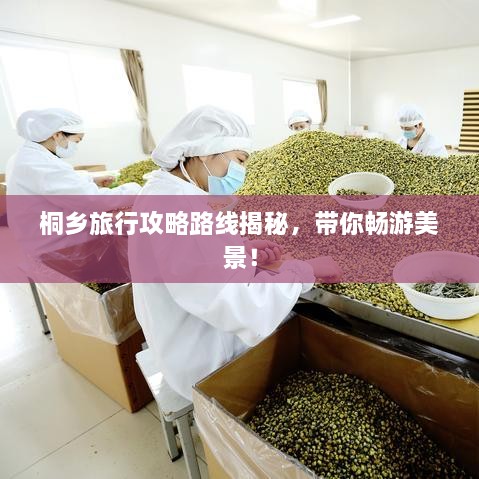 惨淡经营 第2页