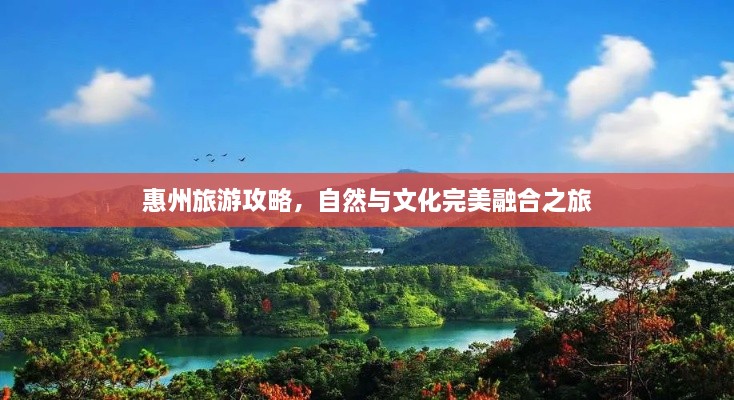 解决方案 第117页