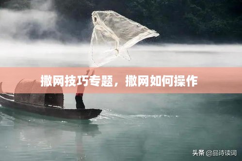 撒网技巧专题，撒网如何操作 