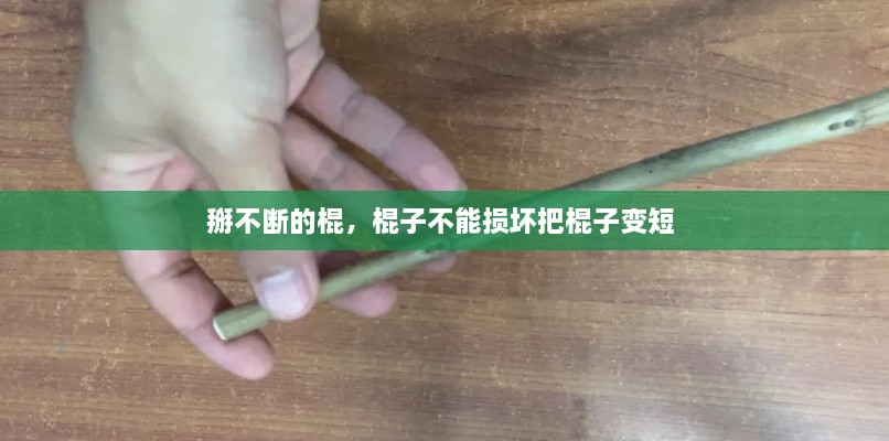 鸟为食亡 第2页