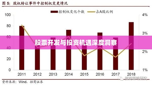 股票开发与投资机遇深度洞察
