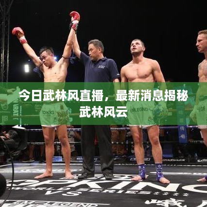 今日武林风直播，最新消息揭秘武林风云