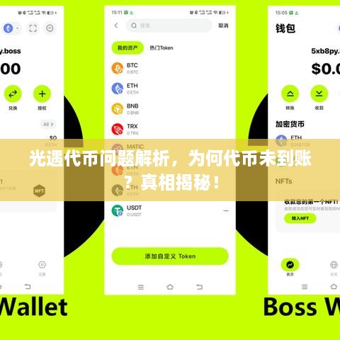 光遇代币问题解析，为何代币未到账？真相揭秘！