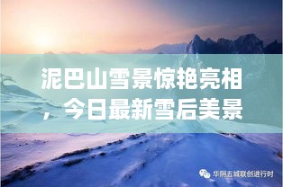 泥巴山雪景惊艳亮相，今日最新雪后美景报道！