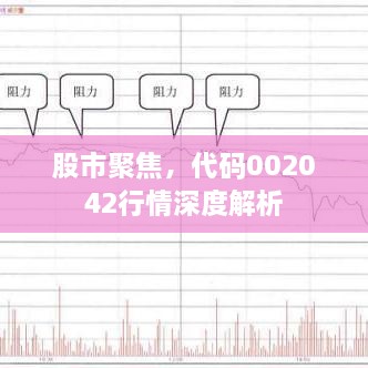 股市聚焦，代码002042行情深度解析