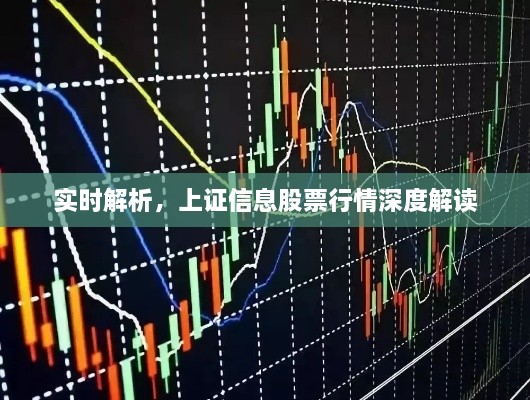 张弓拔弩