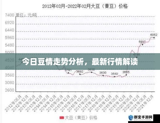 今日豆情走势分析，最新行情解读