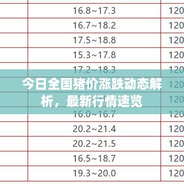 今日全国猪价涨跌动态解析，最新行情速览