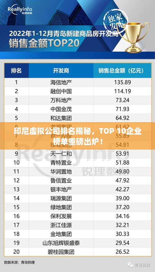 印尼虚拟公司排名揭秘，TOP 10企业榜单重磅出炉！