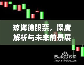 琼海德股票，深度解析与未来前景展望