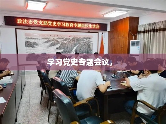 学习党史专题会议， 