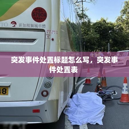 突发事件处置标题怎么写，突发事件处置表 