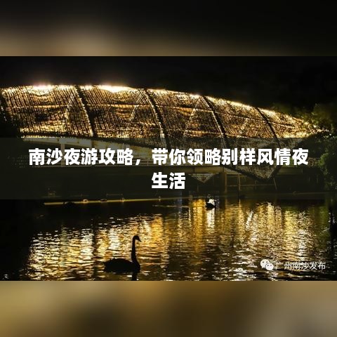 南沙夜游攻略，带你领略别样风情夜生活