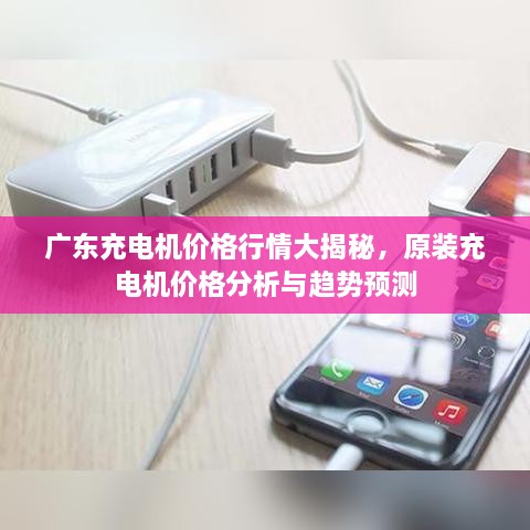 广东充电机价格行情大揭秘，原装充电机价格分析与趋势预测