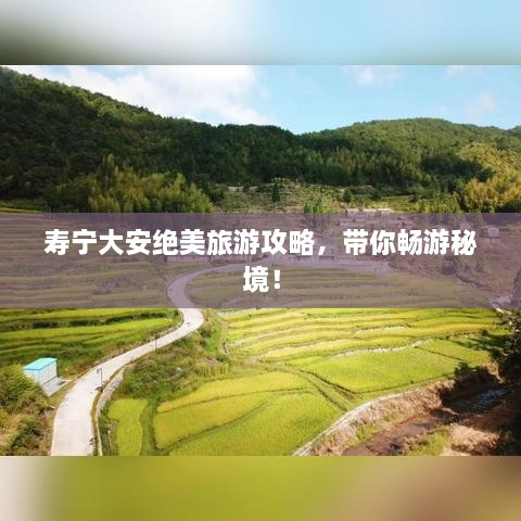 寿宁大安绝美旅游攻略，带你畅游秘境！