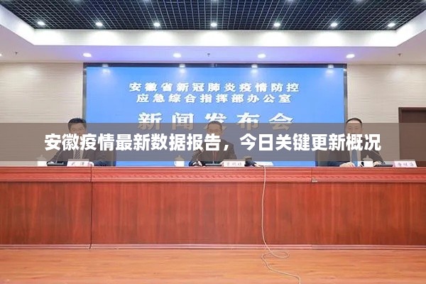 安徽疫情最新数据报告，今日关键更新概况